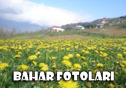 Yukar�k�y den Bahar Fotolar�