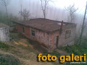 �stek Foto�raflar 47 Yeni FOTO