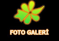 Yukar�k�y den Kar���k Fotolar