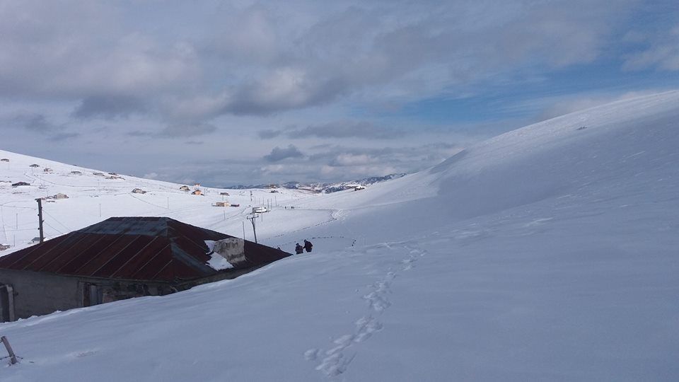 Hocamezar Yaylasnda  Kaplar Krld