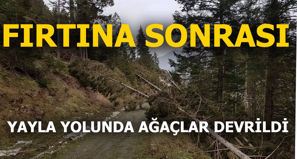Yukarky'de Frtna kt Aalar Devrildi (FOTO)
