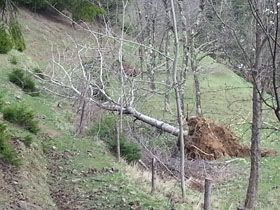 R�zgar A�a�lar� K�k�nden S�kt� (V�DEO)