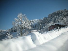 Yukar�k�y' den 2012 Kar Manzaralar� (FOTO)