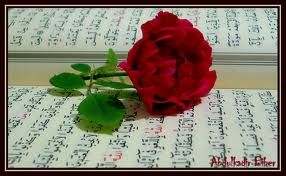 �slam D�nyas� ve Allah'�n Mesaj�