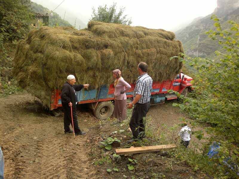 Yukar�k�y' de Trafik Kazas�