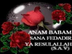 Peygamberimizin Do�umu , Mevlid Kandili