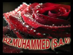 Peygamberimizin Son Vasiyeti