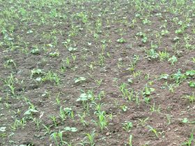 Ay�klama Zaman� Geldi