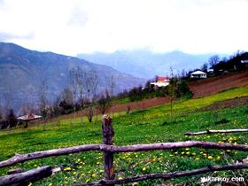 Yukar�k�y' den 10 Numara Foto�raflar