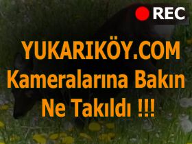 Yukar�k�y.com Kameralar�na Tak�ld�