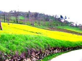 Yukar�k�y' de Bahar ( FOTO -V�DEO)