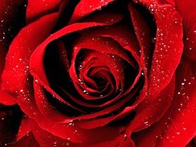 Hacer & Hasan Evleniyor ( DAVET�YE)