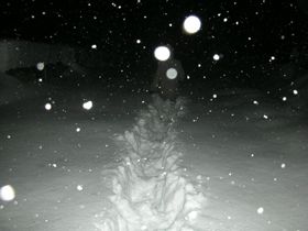 Yukarky' de Hayat Fel Oldu